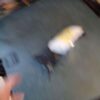 A blurry picture of someone walking on the ground
