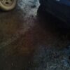 A car parked in the middle of a puddle.